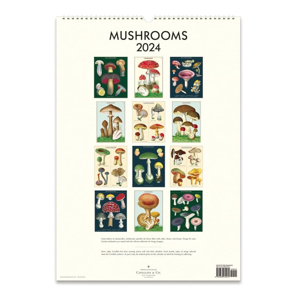 Mushrooms 2024 Poster Wall Calendar Calendars Com   E302d844 156a 441c 922a 4ef4ba247bb8