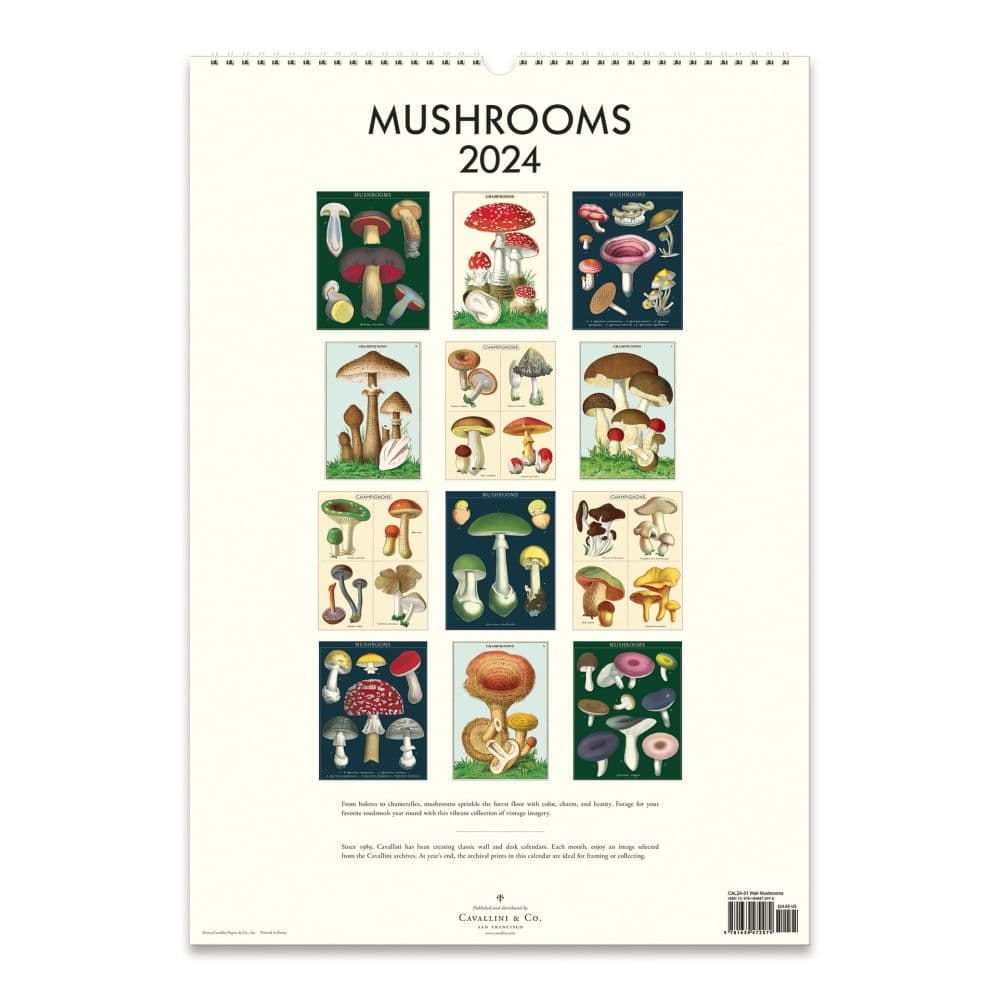 Mushrooms 2024 Poster Wall Calendar First Alternate Image width=&quot;1000&quot; height=&quot;1000&quot;
