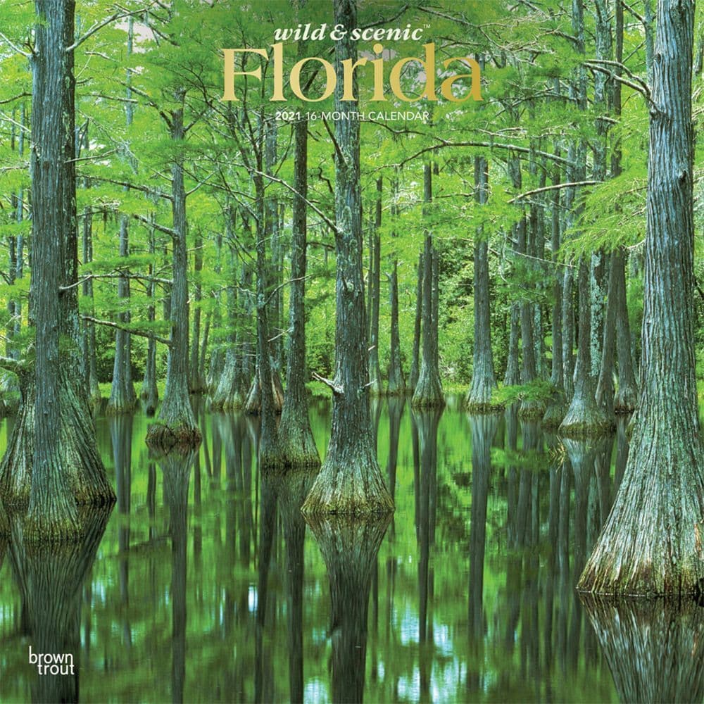 Florida Wild & Scenic Wall Calendar