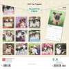 image Shih Tzu Puppies 2025 Wall Calendar First Alternate Image width=&quot;1000&quot; height=&quot;1000&quot;