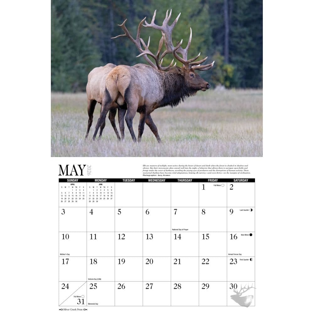 Elk 2026 Wall Calendar Second Alternate Image