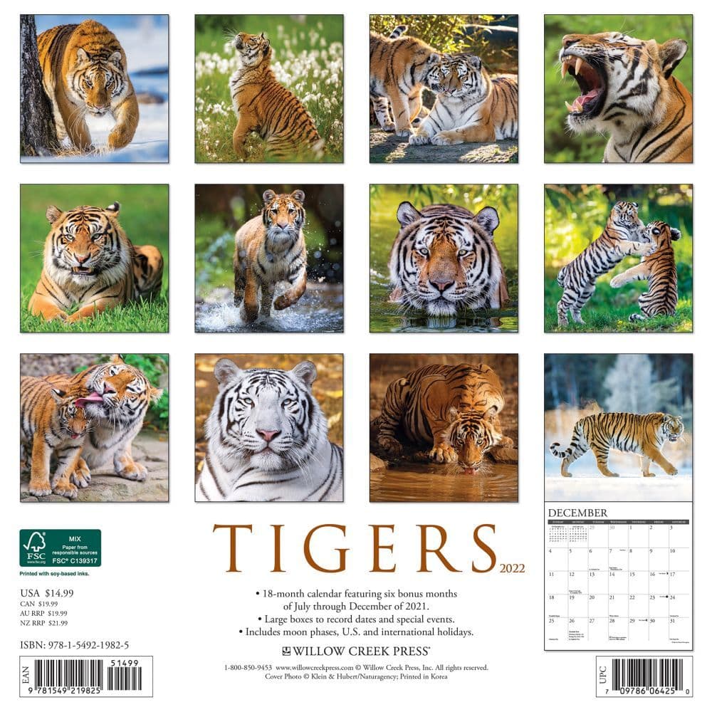 Tigers 2022 Wall Calendar Calendars Com