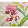 image Exotic Orchids 2024 Wall Calendar Second Alternate Image width=&quot;1000&quot; height=&quot;1000&quot;