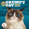 image Grumpy Cat 2024 Wall Calendar Main Image