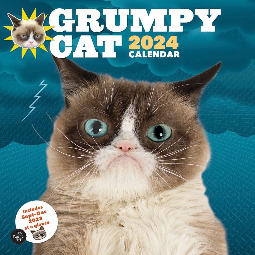 Grumpy Cat 2024 Wall Calendar Main Image