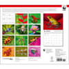 image Frogs WWF 2025 Wall Calendar First Alternate Image width="1000" height="1000"