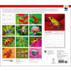 image Frogs WWF 2025 Wall Calendar First Alternate Image width=&quot;1000&quot; height=&quot;1000&quot;