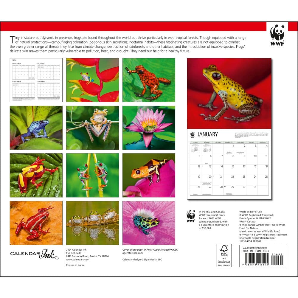 Frogs WWF 2025 Wall Calendar First Alternate Image width="1000" height="1000"