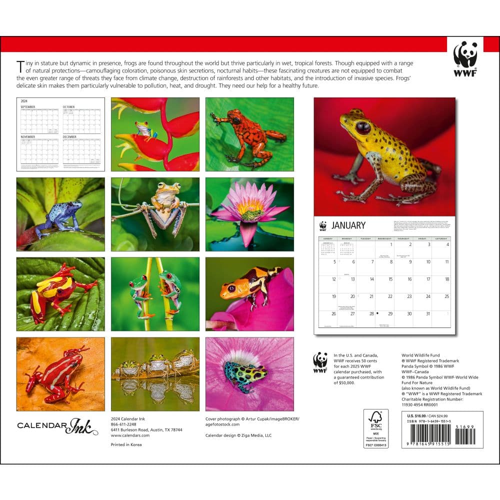 Frogs WWF 2025 Wall Calendar First Alternate Image width=&quot;1000&quot; height=&quot;1000&quot;