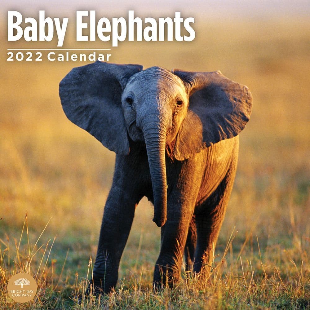 Baby Elephants 2022 Wall Calendar