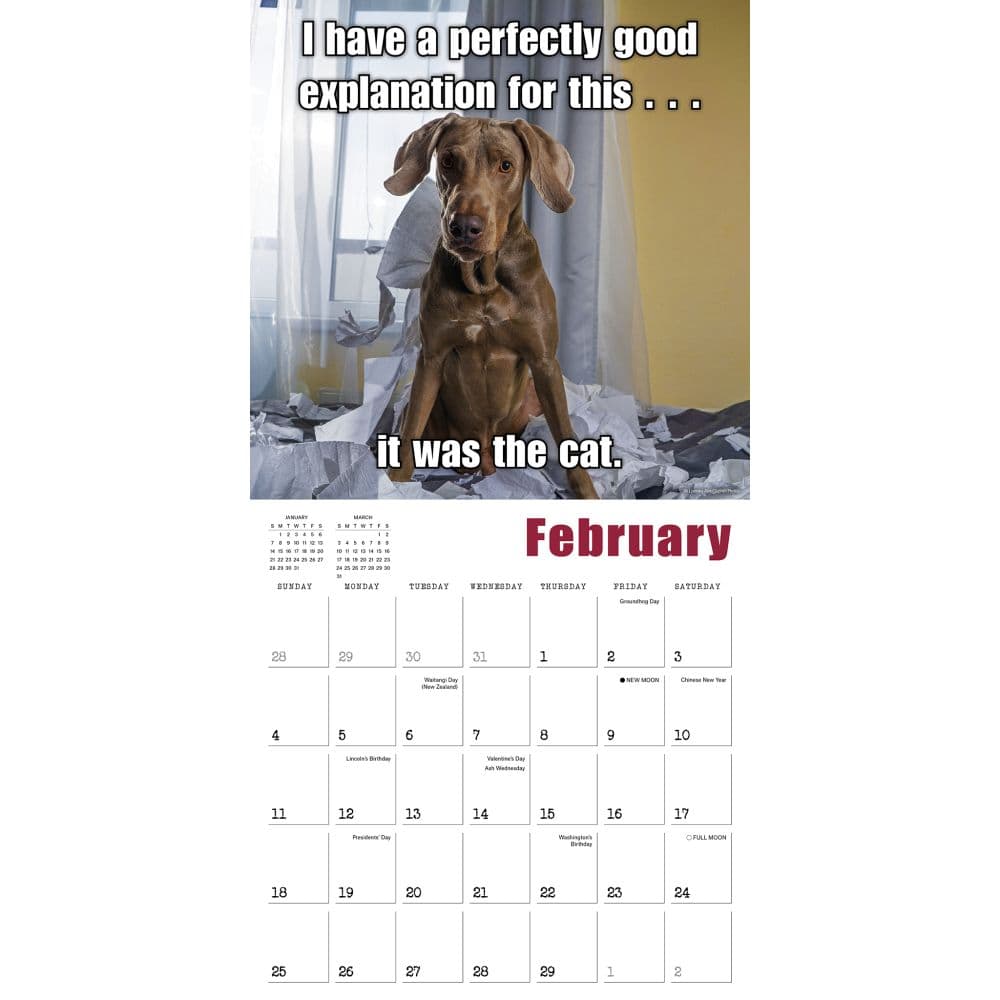 Mutt Memes 2024 Wall Calendar - Calendars.com