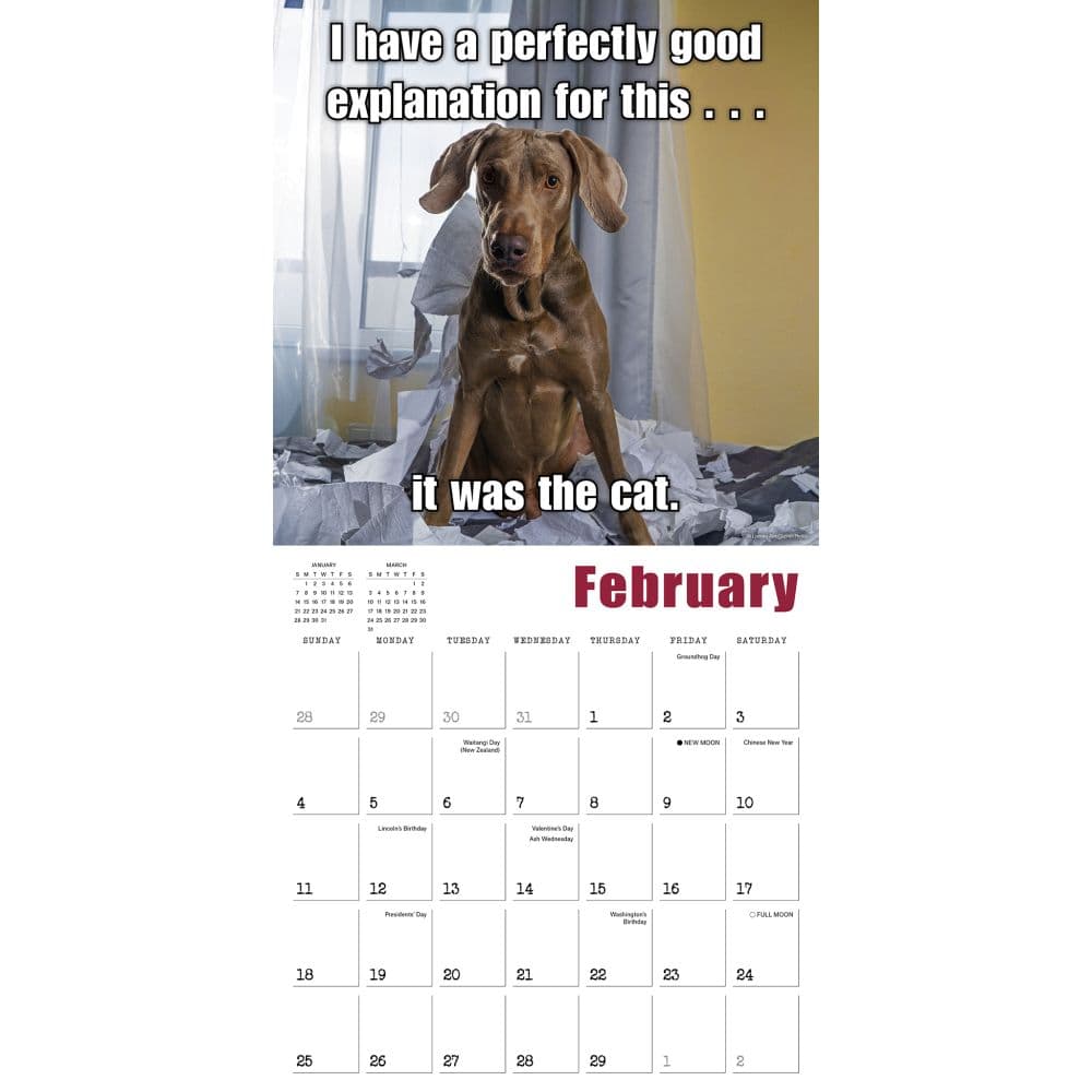 Mutt Memes 2024 Wall Calendar Alternate Image 3