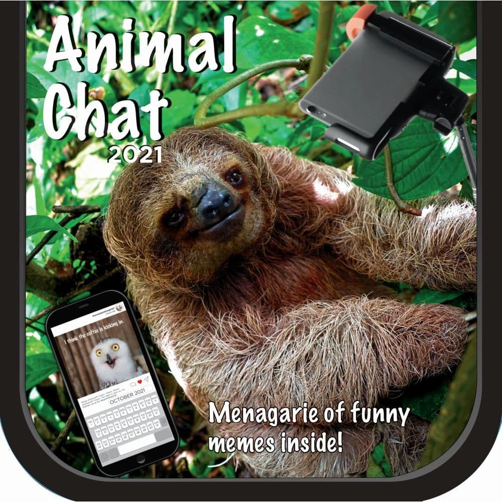 Animal Chat Wall Calendar