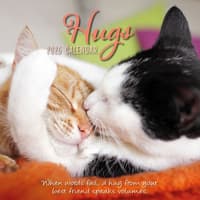 image Hugs 2026 Wall Calendar Main Image