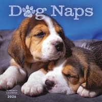 image Naptime Dogs Special Value 2026 Wall Calendar  Main Image
