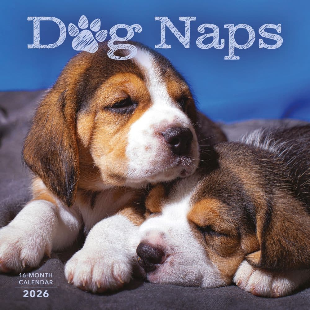Naptime Dogs Special Value 2026 Wall Calendar  Main Image