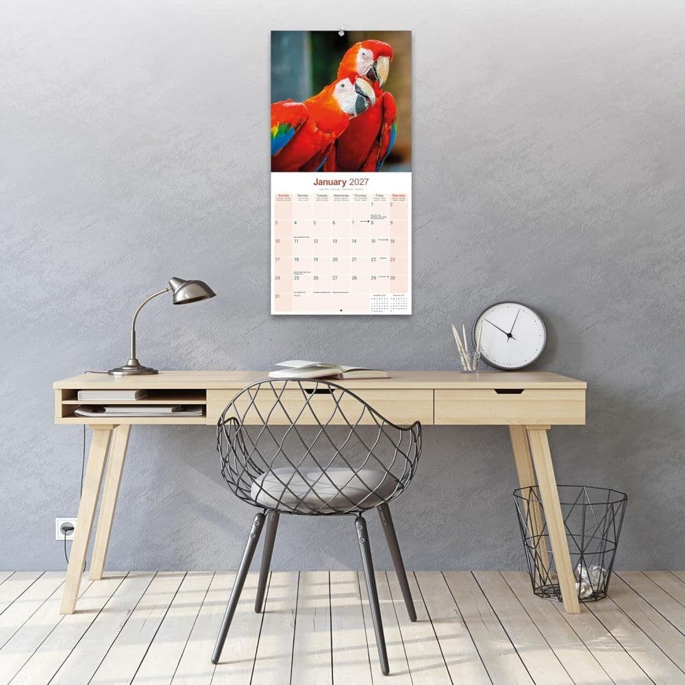 Macaws 2027 Wall Calendar Third Alternate Image