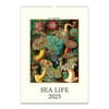 image Sea Life Poster 2025 Wall Calendar Main Image