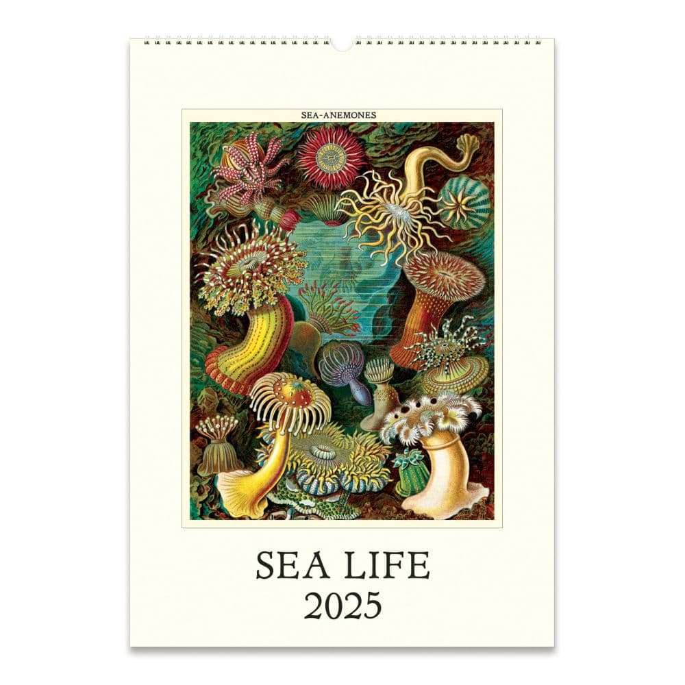 Sea Life Poster 2025 Wall Calendar Main Image