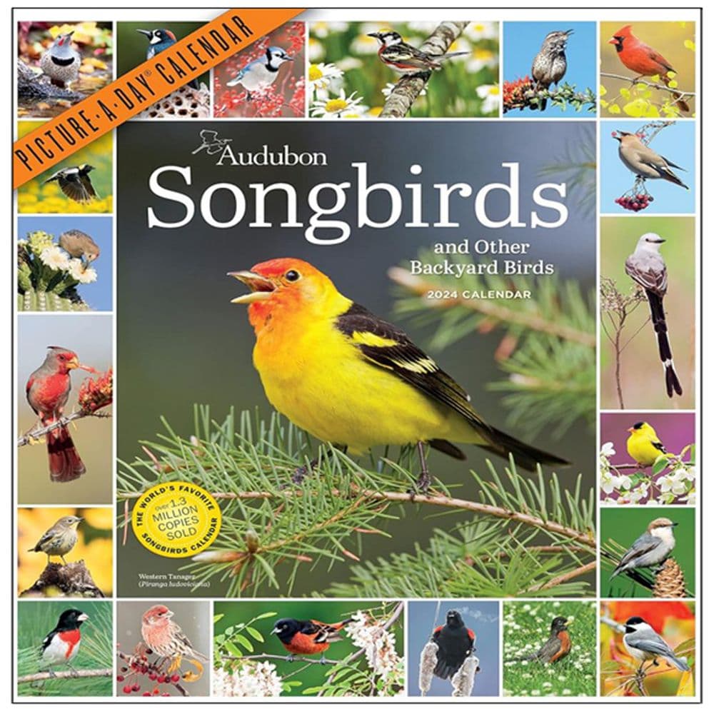 Audubon 365 Songbirds 2024 Wall Calendar Main Product Image width=&quot;1000&quot; height=&quot;1000&quot;