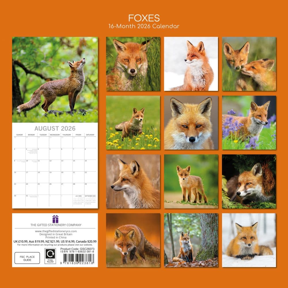 Foxes 2026 Wall Calendar First Alternate Image