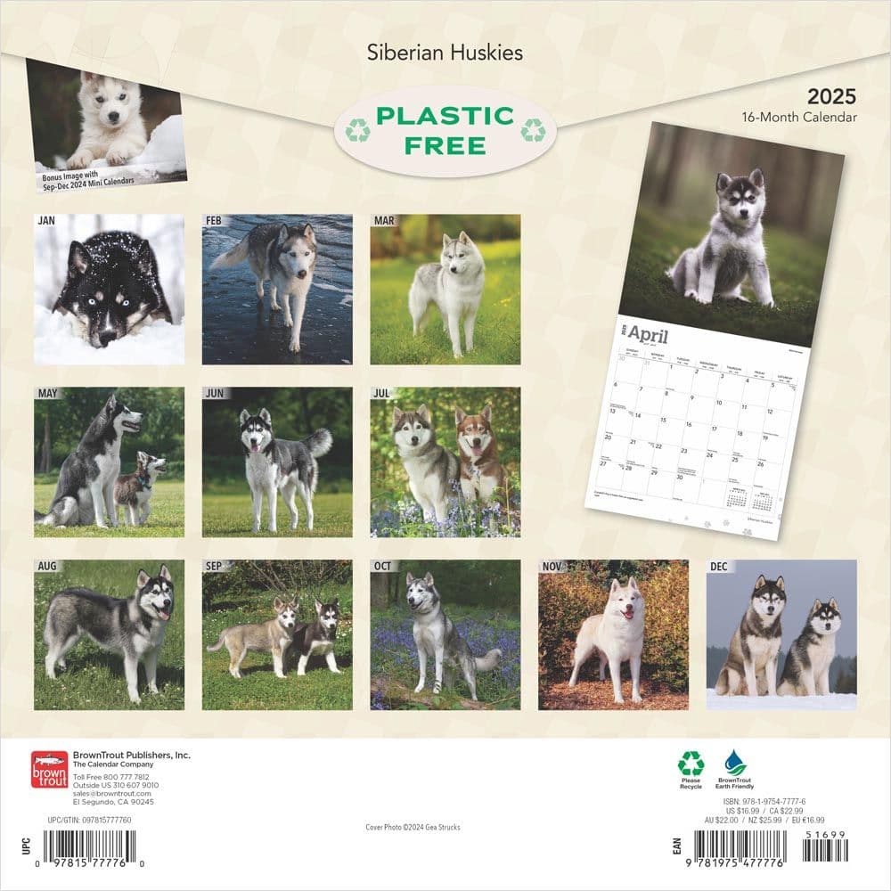 Siberian Huskies 2025 Wall Calendar First Alternate Image width=&quot;1000&quot; height=&quot;1000&quot;