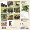 image Dachshund Puppies 2025 Mini Wall Calendar First Alternate Image width=&quot;1000&quot; height=&quot;1000&quot;