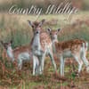 image Country Wildlife 2025 Wall Calendar Main Product Image width=&quot;1000&quot; height=&quot;1000&quot;