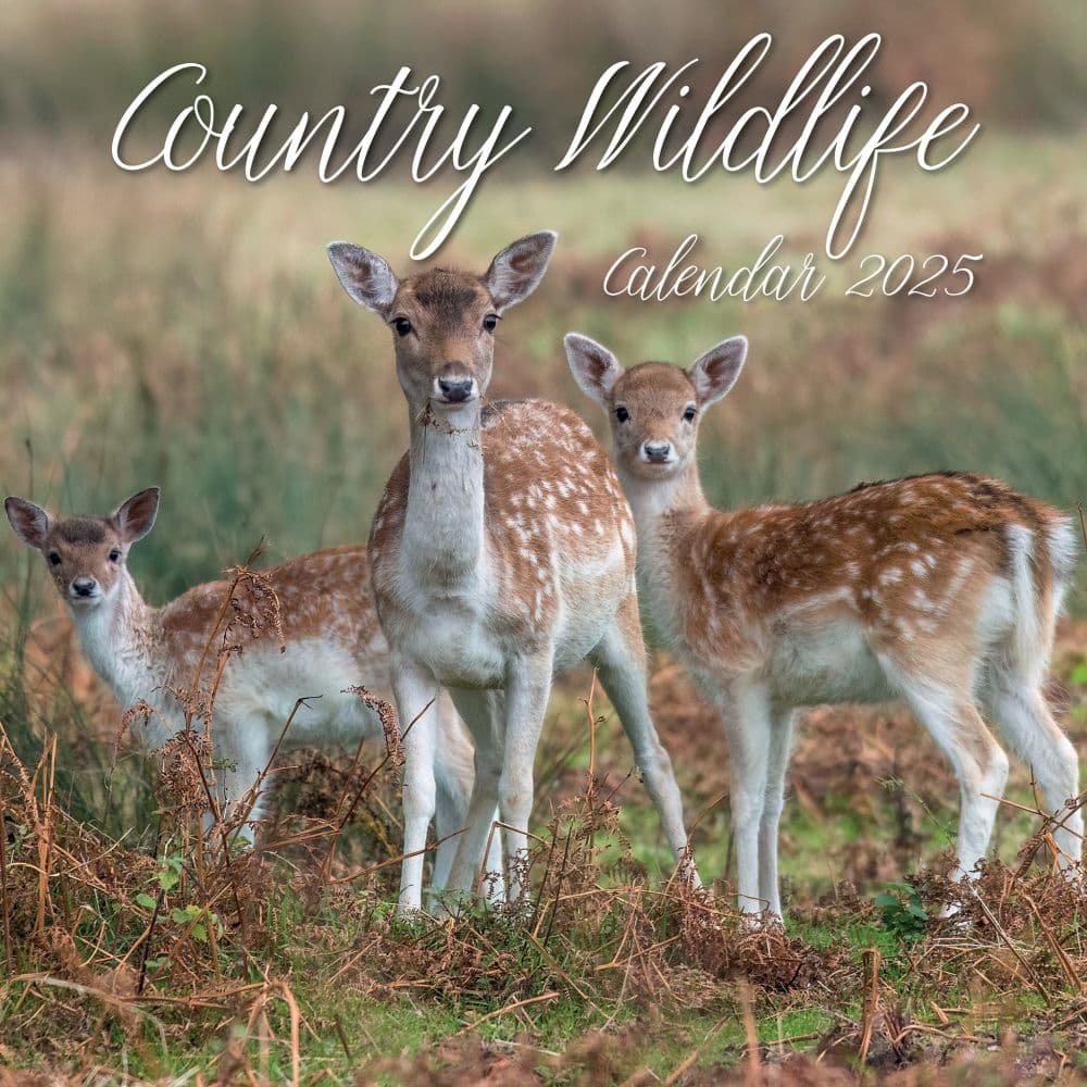 Country Wildlife 2025 Wall Calendar Main Product Image width=&quot;1000&quot; height=&quot;1000&quot;
