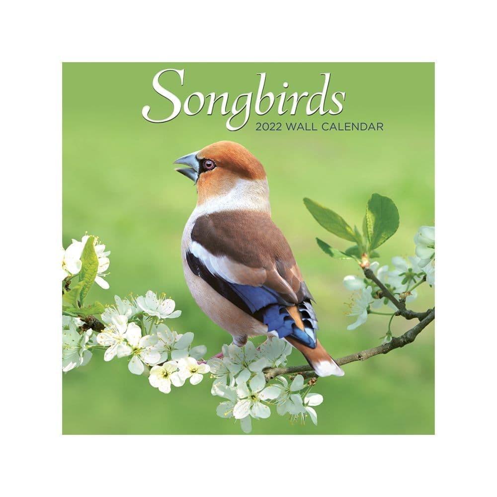 Songbirds 2022 Mini Wall Calendar SV