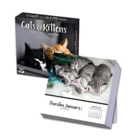 image Cats And Kittens 2026 Desk Calendar_Main Image