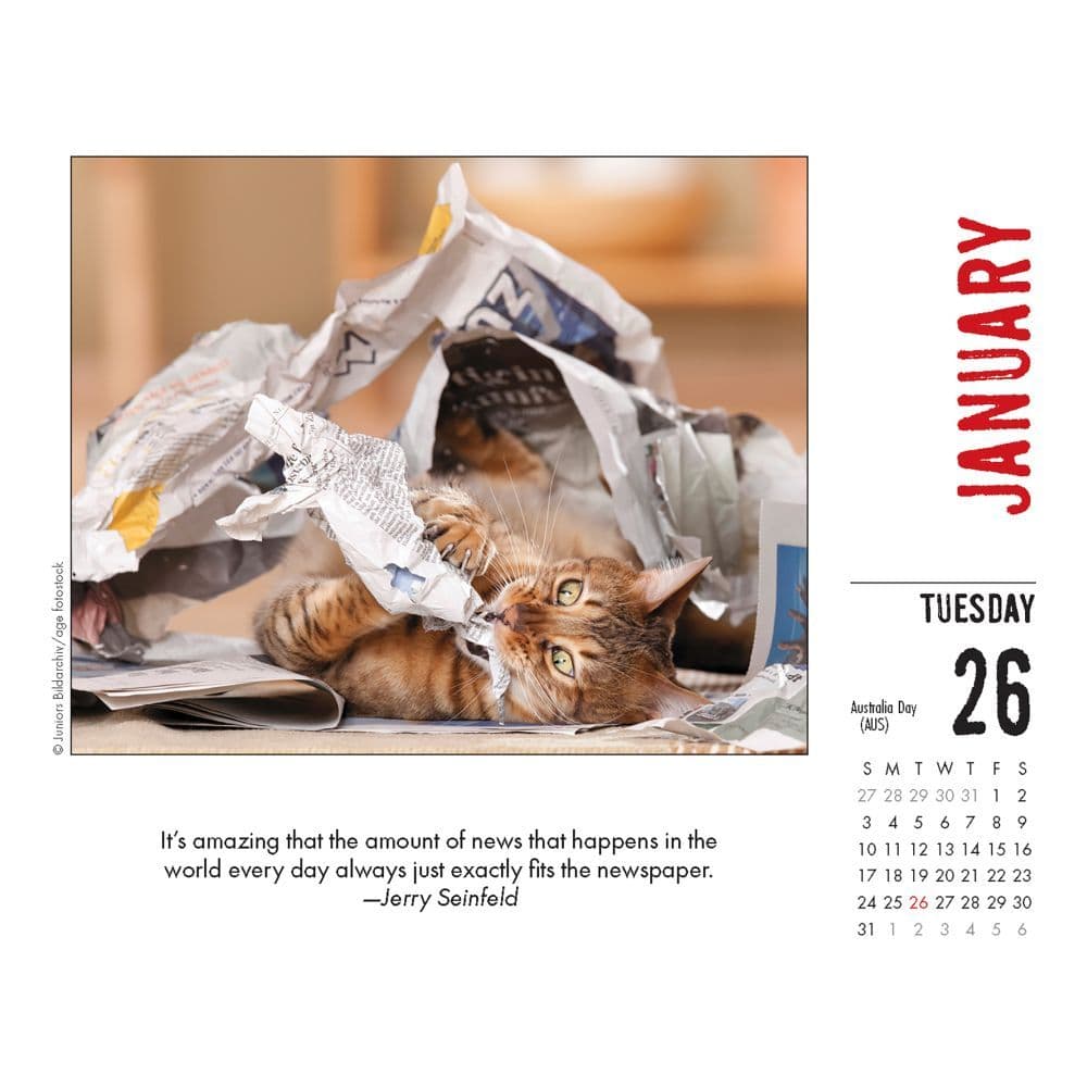 Bad Kitties Desk Calendar - Calendars.com