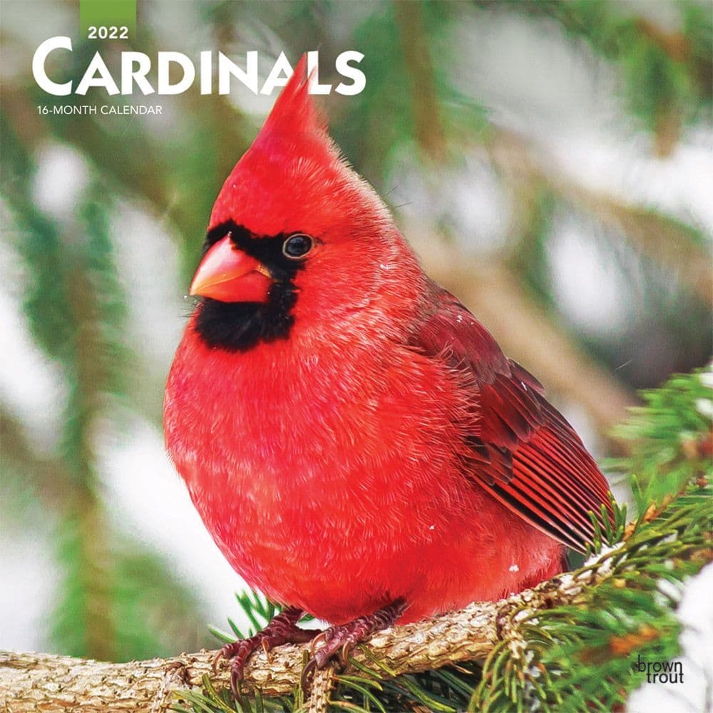 Cardinals 2022 Wall Calendar
