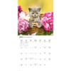 image Kittens Cute 2026 Wall Calendar Third Alternate Image