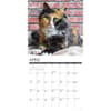 image Calico Cats 2026 Wall Calendar Second Alternate Image