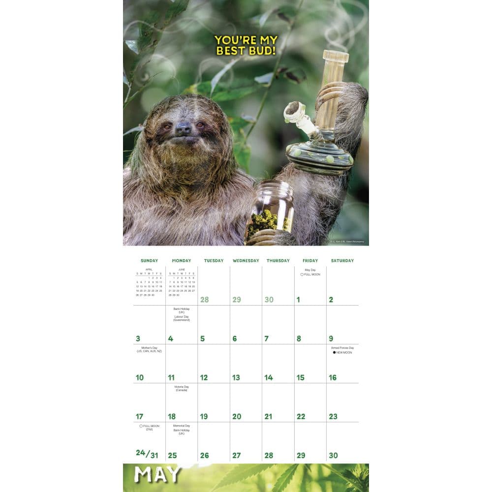 Stoner Sloths 2026 Wall Calendar Third Alternate Image