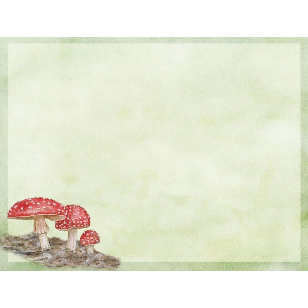 Fairy Garden 5.25" x 4" Blank Boxed Note Cards by Jane Shasky Alternate Image 2