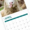 image Sheep 2025 Wall Calendar Sixth Alternate Image