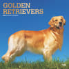 image Golden Retrievers 2025 Wall Calendar  Main Image