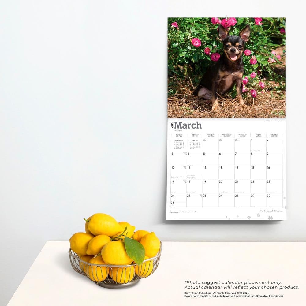 For the Love of Chihuahuas Deluxe 2024 Wall Calendar - Calendars.com