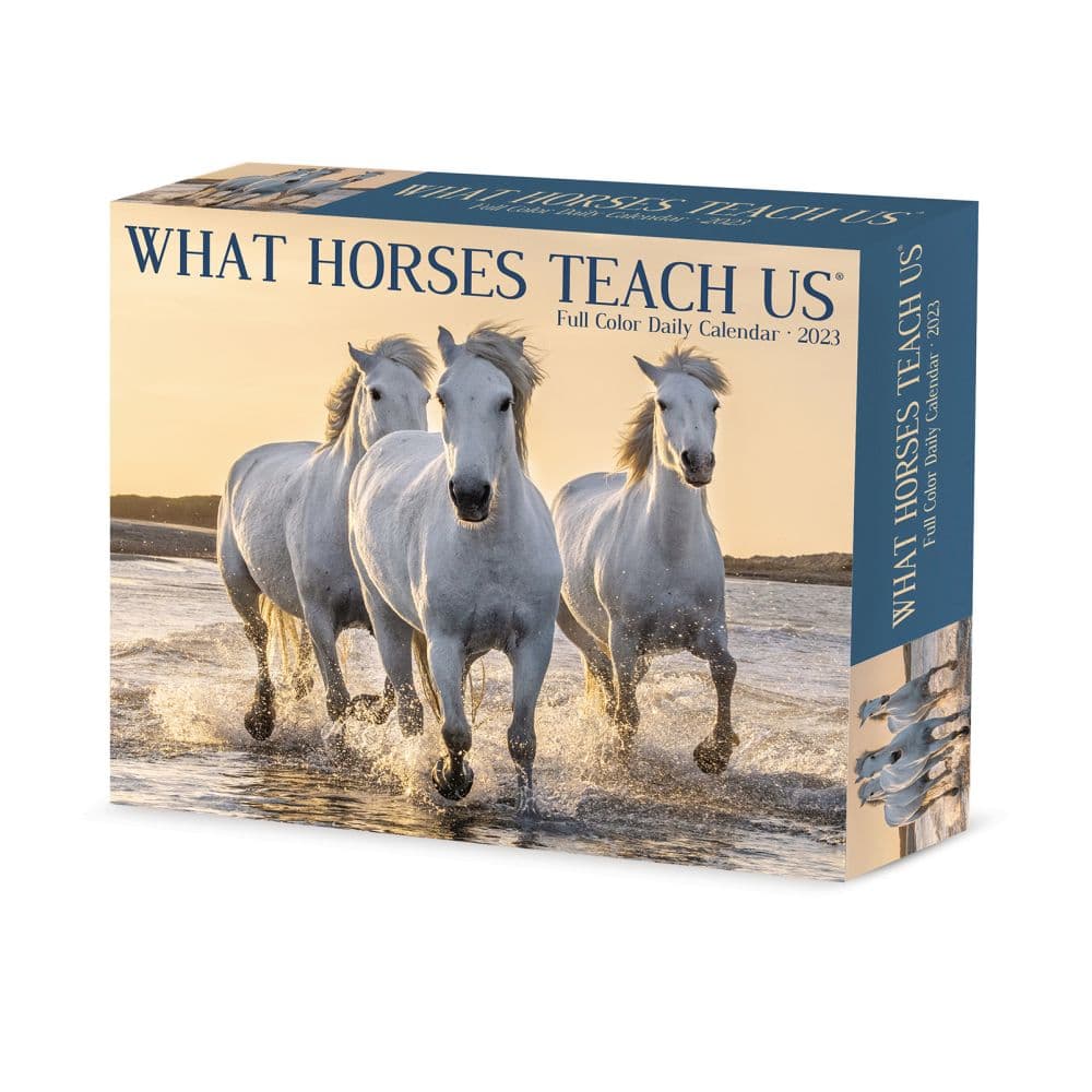 What Horses Teach Us 2023 Desk Calendar - Calendars.com