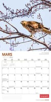 image Canadian Geographic Oiseaux 2024 Wall Calendar March