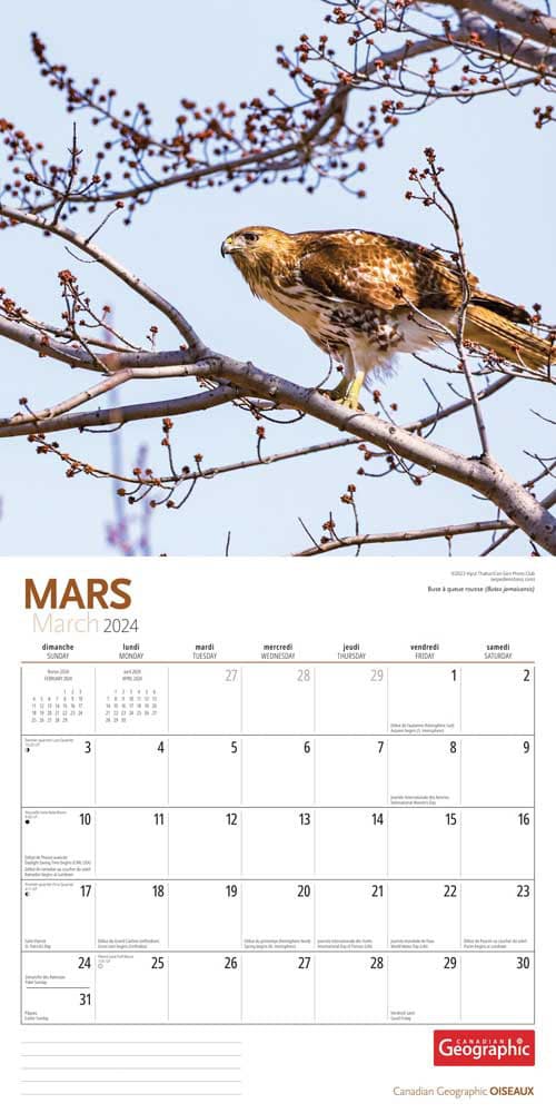 Canadian Geographic Oiseaux 2024 Wall Calendar March