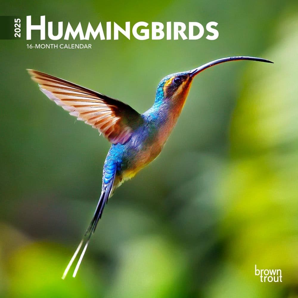 Hummingbirds 2025 Mini Wall Calendar