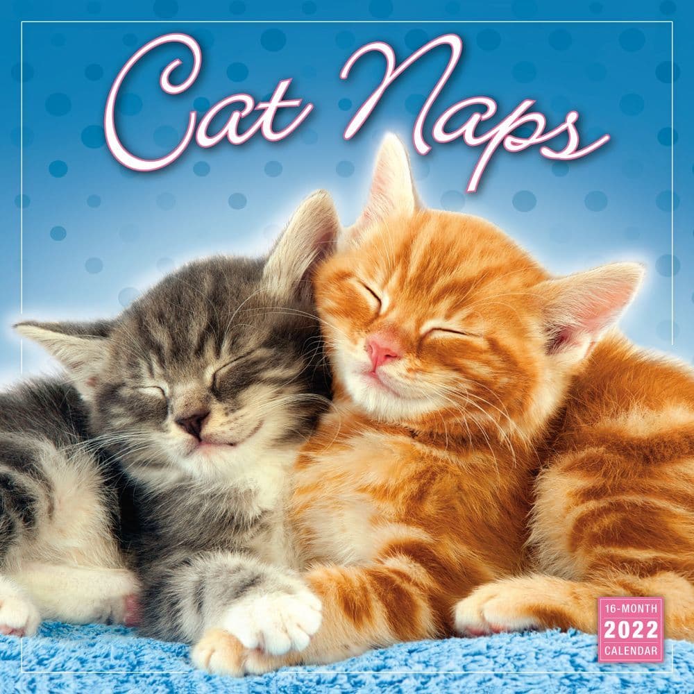 Cat Naps 2022 Wall Calendar