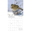 image Songbirds 2024 Wall Calendar Alternate Image 2