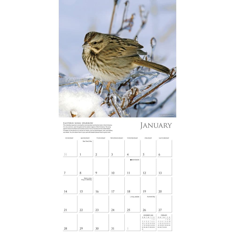 Songbirds 2024 Wall Calendar Alternate Image 2