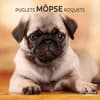 image Puglets 2027 Wall Calendar Main Product Image