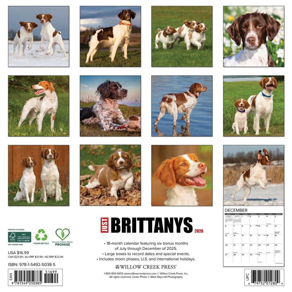 Just Brittanys 2026 Wall Calendar First Alternate Image