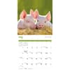 image Miniature Pigs 2026 Wall Calendar Third Alternate Image